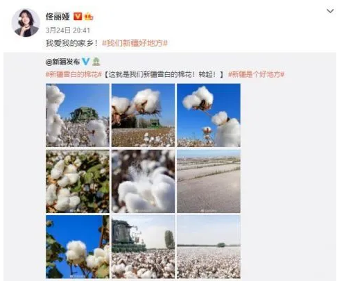 佟丽娅肖战龚俊等众星支持新疆棉花