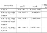 申能股份(600642.SH)去年营业收入197亿元 申能股份(600642.SH)去年营业收入197亿元