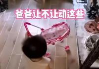 男子因手办被毁离婚 网友：那你跟手办过吧