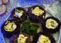 三亚海胆事件的细思极恐 本地海胆汁多肉少？