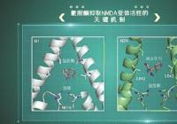 人类有望“完美”对抗抑郁？听听专家怎么说