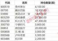 但斌看好科大讯飞“早有苗头”  葛卫东已坚守15个季度