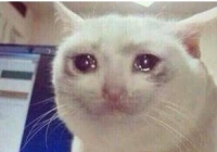 我emo了是什么意思？我颓废了、我抑郁了