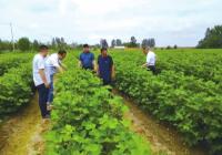 河南“万人助万企”：“有问题不用自己跑工作组上门送服务”