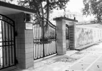 郑大幼儿园：大班孩子没学上 还在招新生