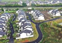 上海乡村振兴路 大城繁华小镇美丽乡村兴旺 上海乡村振兴路 大城繁华小镇美丽乡村兴旺