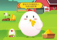 公鸡为什么能报晓？脑内激素对光敏感