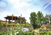 房屋前种什么树风水好 棕树可以帮忙留住财