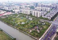 天台“共享村落”携手奔富 片区内百姓年均增收10%以上