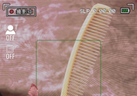 梦见梳子预示什么？男人梦见可能预示了诱惑