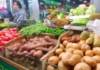 吕梁山麓的“土豆革命” 助力乡村振兴