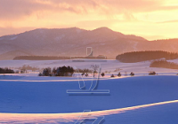 每年冬至都是同一天吗 每年公历12月21-23日交节 每年冬至都是同一天吗 每年公历12月21-23日交节