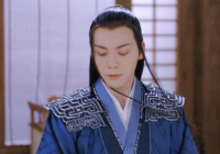 斛珠夫人男主是宦官吗？是个权臣