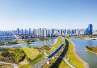 郑开大道车水马龙 当初哭着去的商户如今喜笑颜开