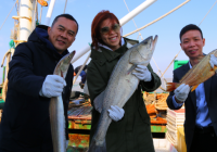 第一产业与第三产业相结合 游客尽享赶海乐 第一产业与第三产业相结合 游客尽享赶海乐