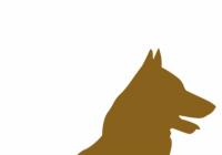 郑州市：饲养烈性犬、大型犬最高罚1万元