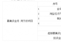 物产环能603071发行价 该公司主营业务是什么
