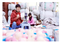 河北内丘县岗底村：果农直播卖果忙 网络销售620多万元 