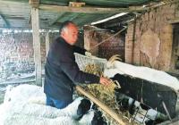 卫辉开展“暖冬行动” 发放救助资金393万余元