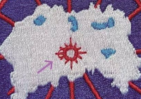 加拿大鹅发布声明后消费者退货仍艰难 死性不改？