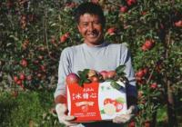 比父辈更具创新意识 “新新农人”成乡村振兴新力