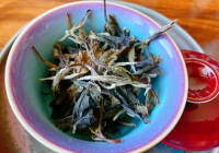 绿茶冷冻还是冷藏好 冷藏的温度为0~5℃