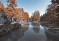 杭州西溪湿地：印象“秋”色