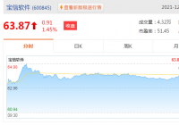 A股2021年钢铁制造信息化概念股龙头有哪些？宝信软件总市值为974.56亿元