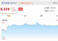 浙江世宝涨9.60%报2.17港元，成交额0.37亿港元