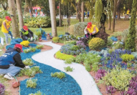 花境师技能竞赛：表现出花卉植物的自然美和群落美