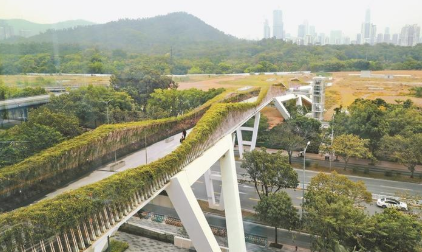 让公园与城市融合 笔架山空中廊桥开放了