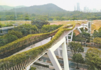 长450米连接深业上城与笔架山公园 空中廊桥开放了