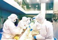 来源可追溯安全“看得见” “原阳团餐”俏销中小学校园