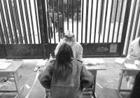 2022年第一个工作日我被划进了防范区 通宵做核酸检测 2022年第一个工作日我被划进了防范区 通宵做核酸检测