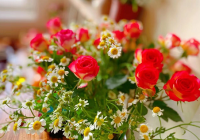 2022好听霸气的二字网名 北苑、阔别、愚彼等