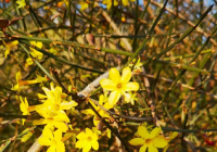 2022微博名字男生：风月不等闲、小泽又沐风