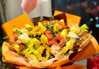 家里养海棠花吉利不吉利？放在室内能洁净空气