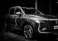 车险过户后的第二年保险会涨吗？涨的多吗？