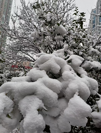 今年来最大范围雨雪来袭 陕西、河南、湖北部分地区有大雪