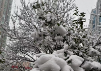今年来最大范围雨雪来袭 广西、江西、湖南局地暴雨 今年来最大范围雨雪来袭 广西、江西、湖南局地暴雨