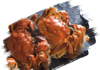 孕妇吃螃蟹会怎么样?易出现腹痛、腹泻等情况 孕妇吃螃蟹会怎么样?易出现腹痛、腹泻等情况