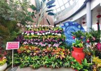 虎年春节 郑州植物园恢复对外开放