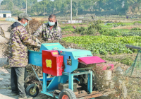 苏溪镇上西陶村：秸秆粉碎还田变“绿肥”