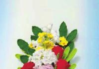 2022冬残奥会开始时间和结束时间来了 快来围观 2022冬残奥会开始时间和结束时间来了 快来围观