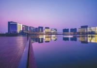 “领跑”中部创投郑州如何发力 引入头部基金管理机构等