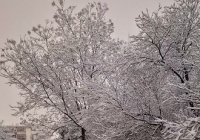 4小时视频监控等 义乌市苏溪镇全力备战抗冰雪