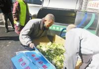 果皮烂菜叶变身为“春泥” 1吨果蔬垃圾可产生100公斤有机肥