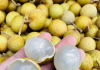 孕妇可以吃桂圆干吗？尽量不要吃桂圆干