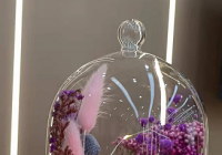 “日常背锅”的不止莫言 “山寨鸡汤”尴尬了谁