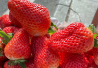 网购“丹东草莓” 发货地却在千里之外 电商平台应该如何监管？